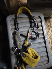 Lemieux Vogue Headcollar Dijon