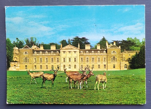 Vintage postcard used - postcard,