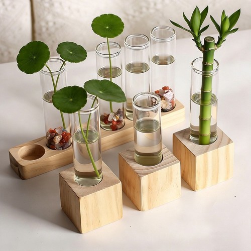 Hydroponic plant display - display, vases