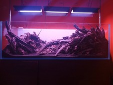 450l Custom Aquatics Rimless