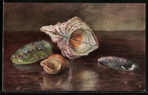 Artist postcard raphael tuck - postcard,