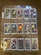 Complete Set of Wills