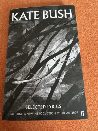 Kate bush how invisible - kate,