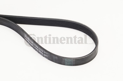 Continental ctam 6pk1173 - continental,