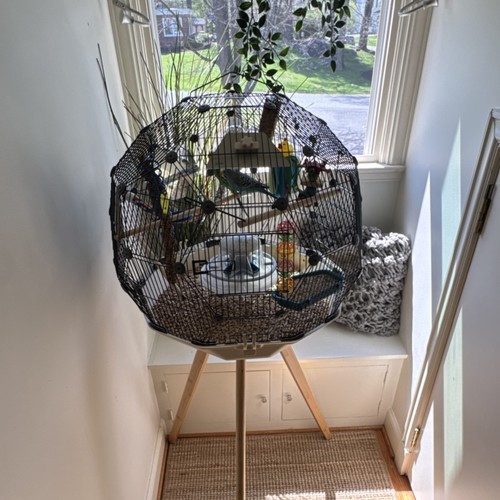 Omlet bird cage - , with