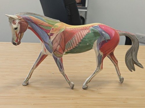 Breyer traditional model horse - traditional,