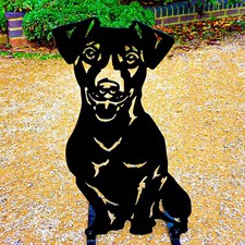 Jack Russell Dog Garden