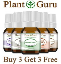 Essential Oils 5 ml 100% Pure