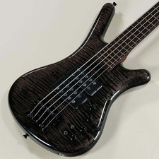 Warwick Special Edition