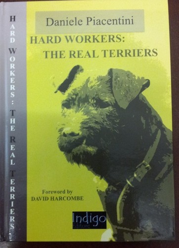 Hard workers the - the, terriers