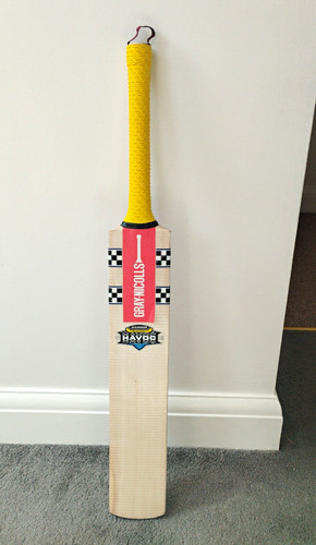 Gray nicolls havoc - gray,