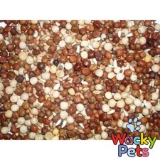 Pigeon food feed johnston - pigeon, &