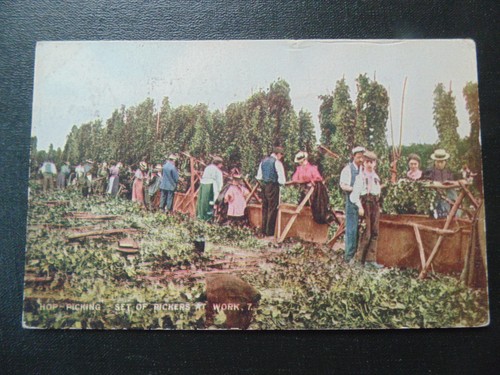Hop picking set - -, pickers