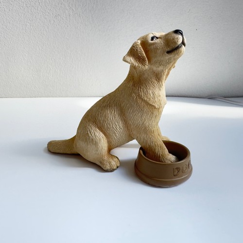 Vintage leonardo resin golden - vintage,
