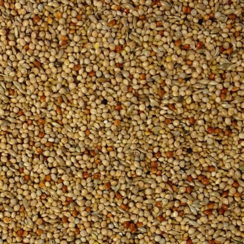Bestpets foreign finch seed - bestpets,