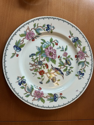 Aynsley pembroke dinner plate - aynsley,