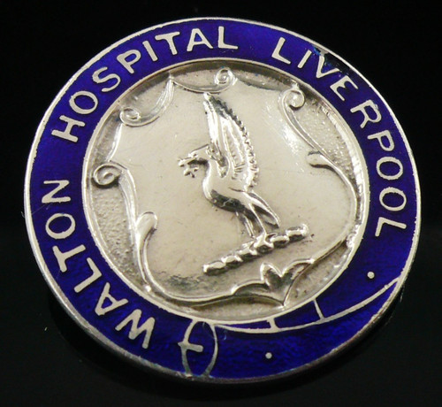 Sterling silver enamel nursing - silver,