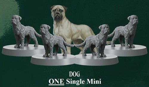 Mastiff dog mini miniature - mastiff,