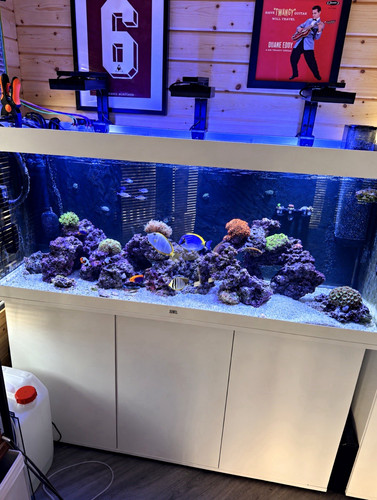 Complete marine set needs - set, up.