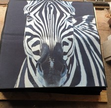 Stunning Custom Made Rug zebra Bright Coloured 100 x 100 cm 