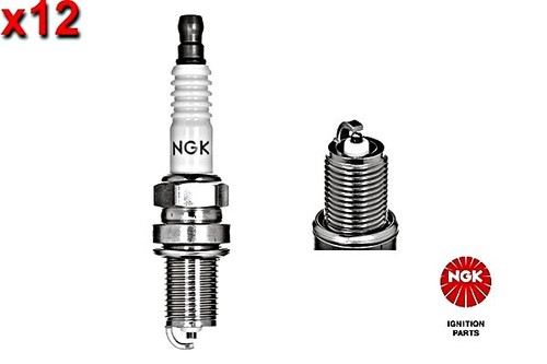 12x spark plug ngk - spark, fits