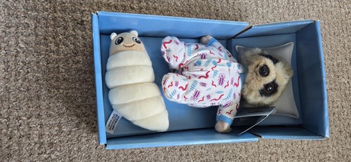 Compare the market meerkat - market,