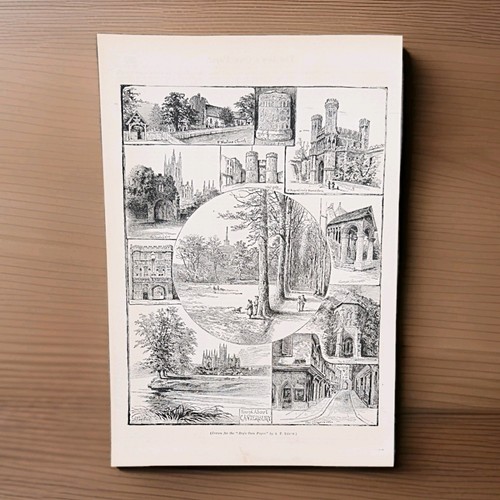 Antique 1890 canterbury - antique,
