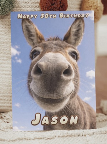Donkey funny - donkey,