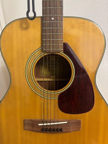 Yamaha 170 green - fg-170, label