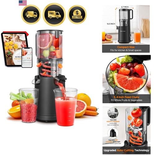 Cold press juicer - press,