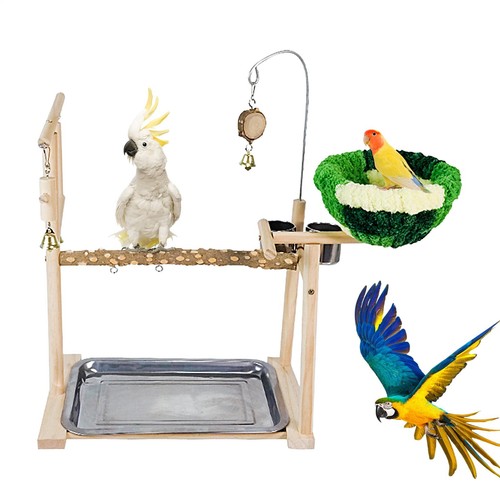 Parrot stand playground - parrot,
