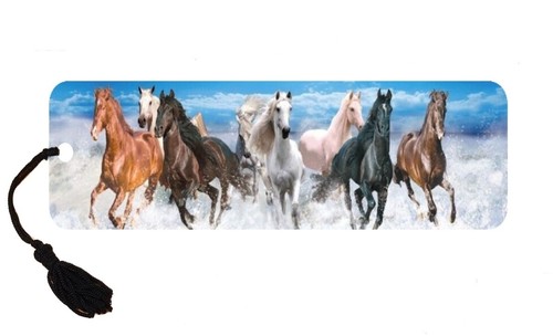 Horse pony lenticular - horse,