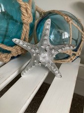 Silver Resin Starfish Home