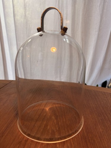 Vintage glass dome cloche - vintage,
