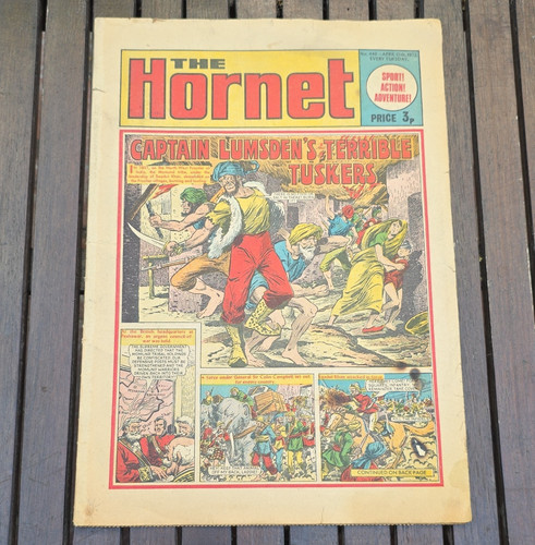The hornet comic book - comic, issue