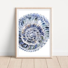 Coastal Shell Hamptons Seaside