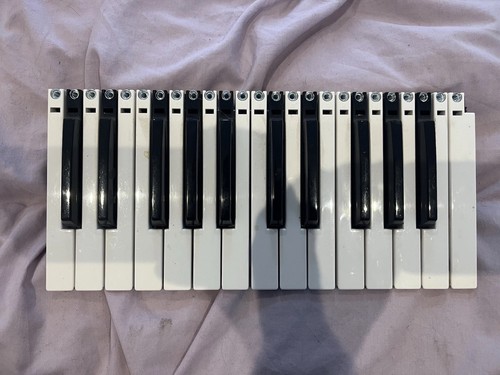 Minibrute keyboard - minibrute,