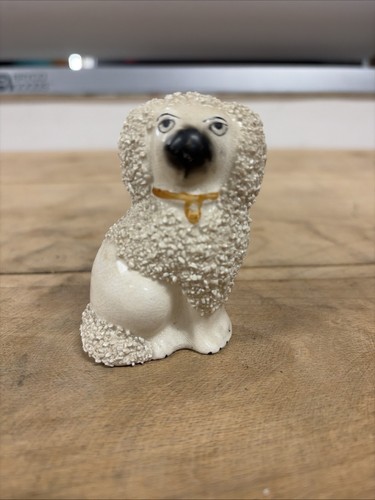 Staffordshire poodle dog - poodle,