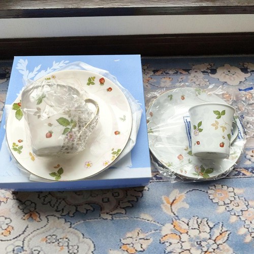 Wedgwood pastel wild - pastel,