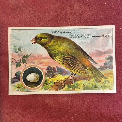 Horniman british birds their - horniman,