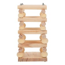 Feeder Rabbit Grass Feeding