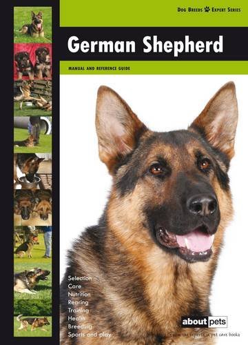 German shepherd dog breed - shepherd:,