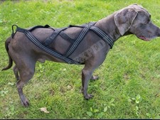 HURTTA X-SPORT HARNESS 70CM