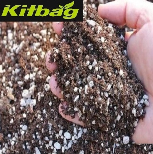 Carnivorous plant soil peat - plant,