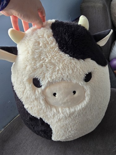Squishmallows connor the - connor,