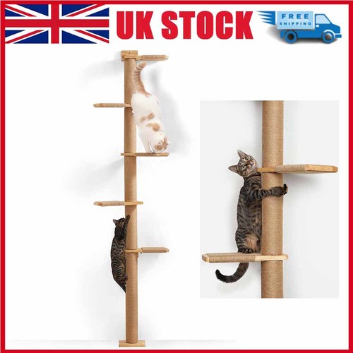 Tall cat tree tier - tree,, floor