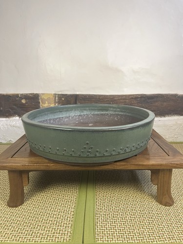 Aiba koyo bonsai - bonsai, pot