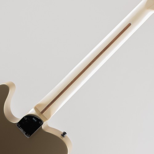Fender jim root - root, telecaster