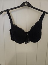 Debenhams Flock Spot padded