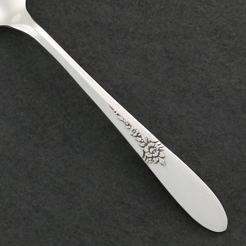 Oneida fantasy silverplate - fantasy,